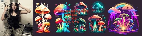 стафф Заволжье