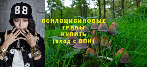 стафф Заволжье