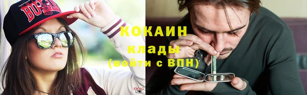 прущие крисы Заводоуковск