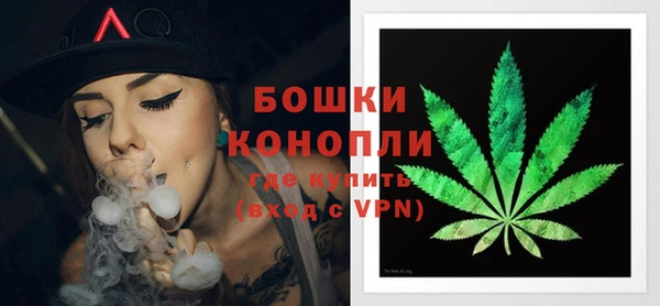 прущие крисы Заводоуковск