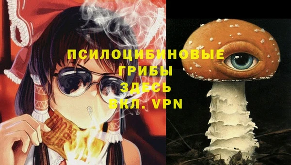 прущие крисы Заводоуковск