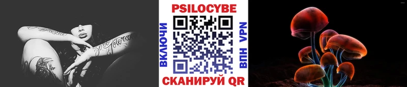 Псилоцибиновые грибы MAGIC MUSHROOMS  Купить где  Канск 