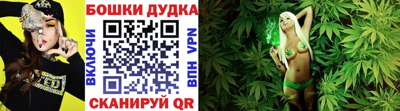 Конопля конопля  Купить закладки  Канск 